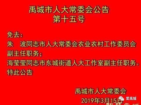 禹城市初中人事调整重塑教育领导团队，推动教育质量实现新飞跃