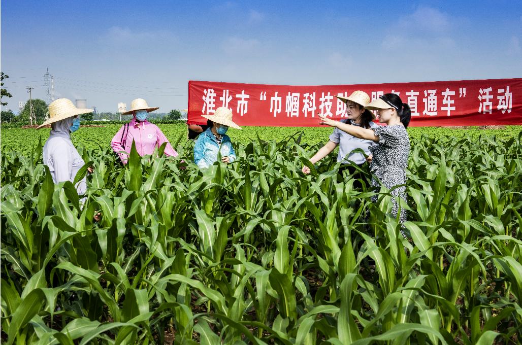 濉溪县科技局领导团队最新概述