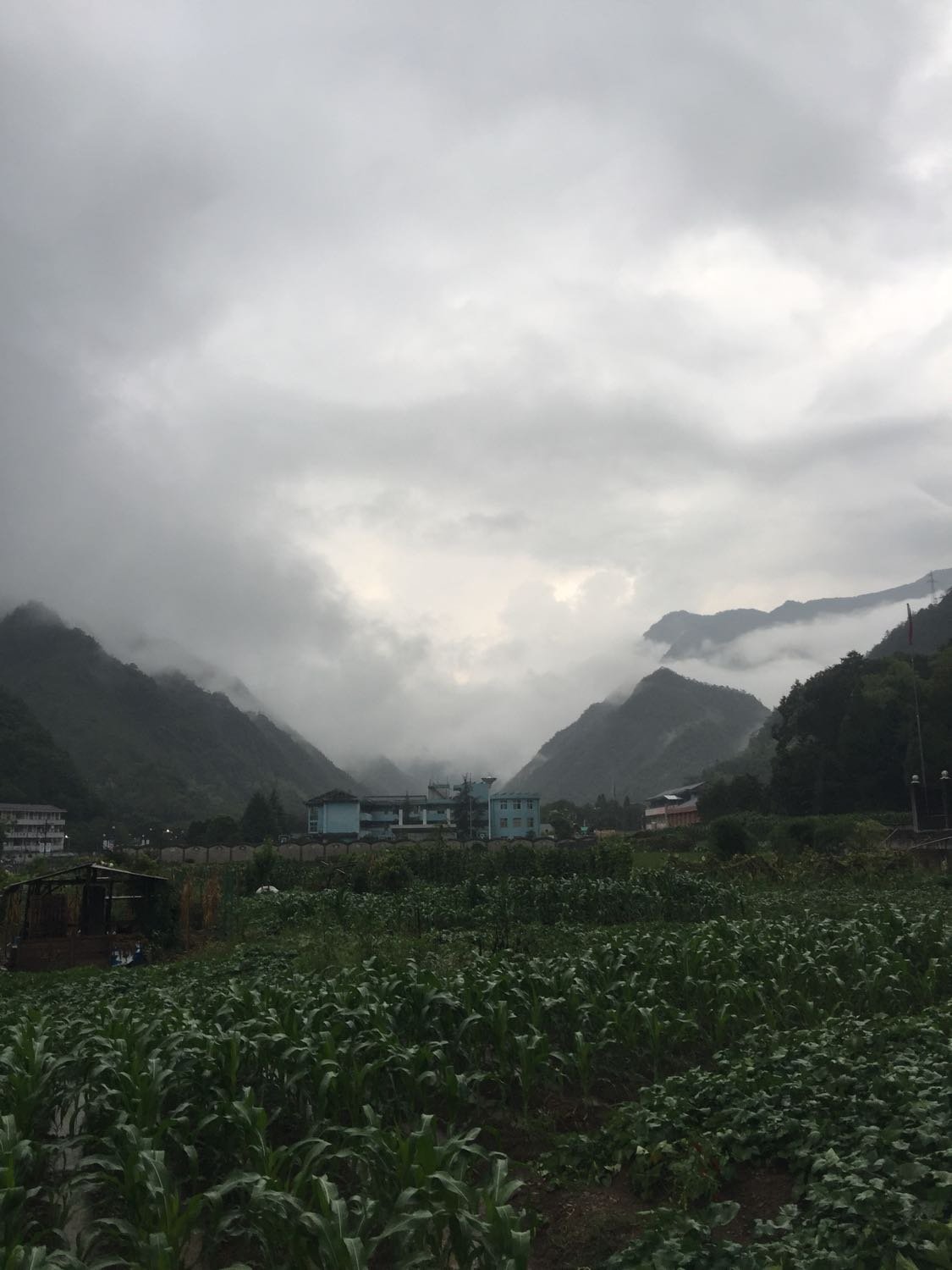 牯牛山乡天气预报更新通知