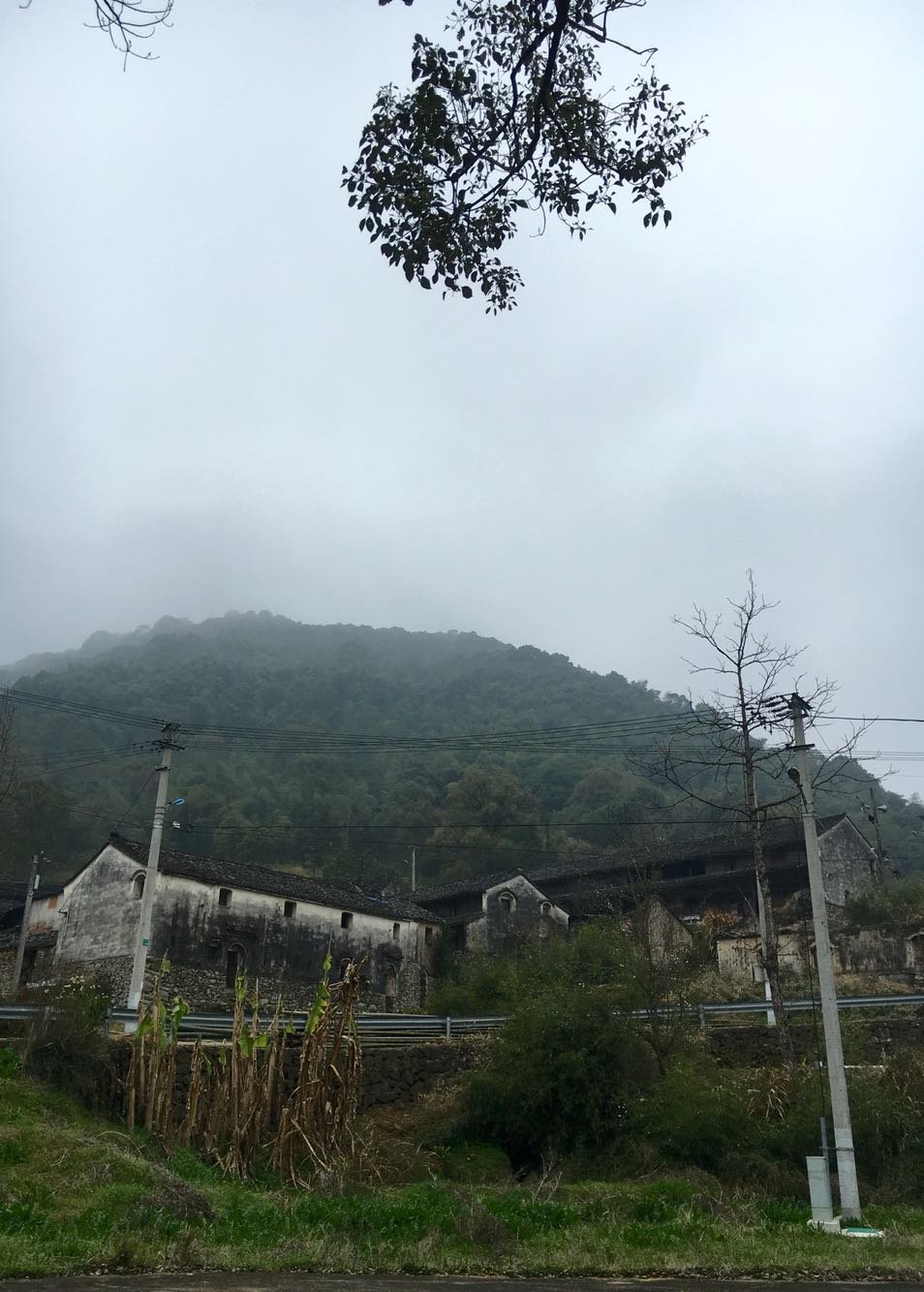 通门村天气预报更新通知