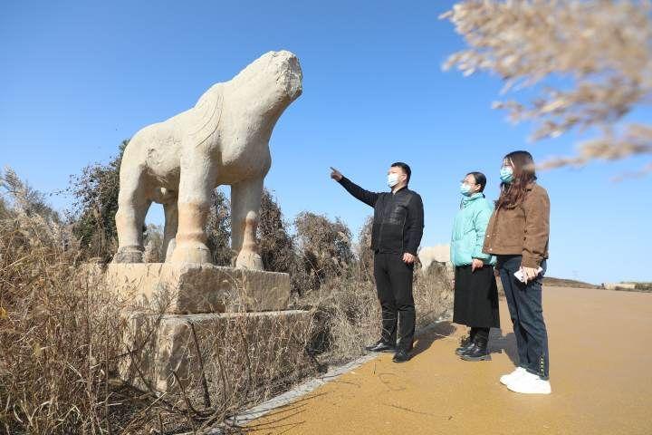 河北区文化广电体育和旅游局最新动态报道