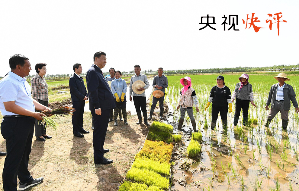 豁岘村民委员会乡村振兴与社区发展新篇章揭晓最新新闻