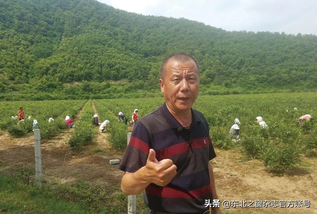 桂云花满族乡天气预报更新