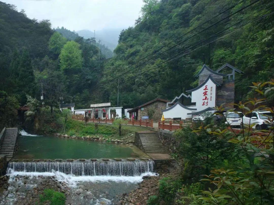 王家山村委会发展规划概览