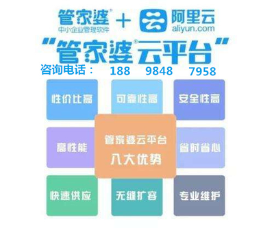 7777788888管家婆凤凰,可靠设计策略解析_KP61.856