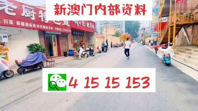 新澳门天天开好彩大全生日卡,实地验证策略方案_Superior14.662