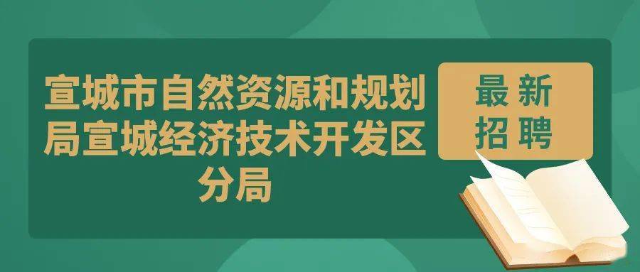 萧县自然资源和规划局招聘公告详解