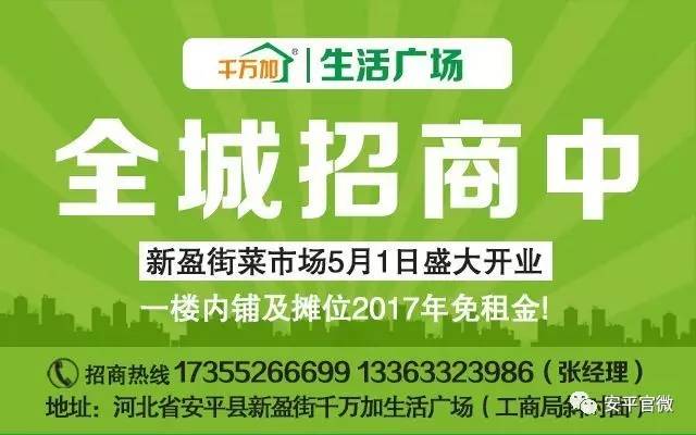 曾都区人力资源和社会保障局招聘最新信息概览