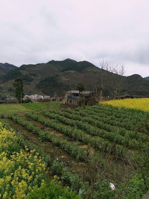 趾凤乡天气预报更新通知