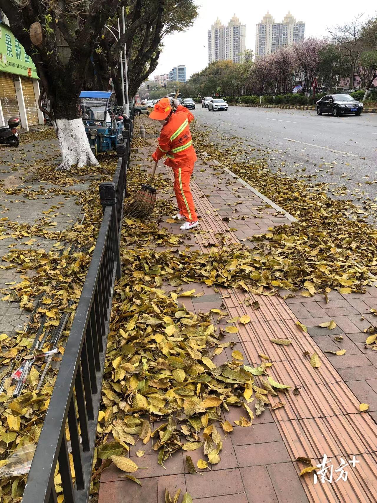 浈江区公路运输管理事业单位最新动态报道