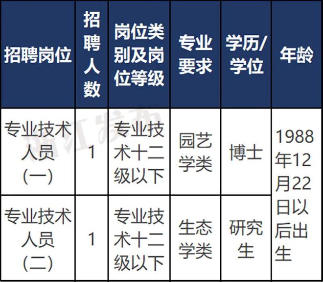 蝶山区科技局最新招聘信息全面解析