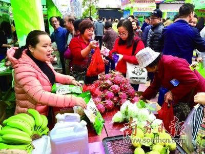 阳江市扶贫开发领导小组办公室最新发展规划概览