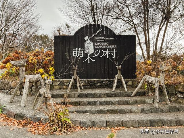 木村新项目引领绿色创新之旅，探索未来绿色发展的道路